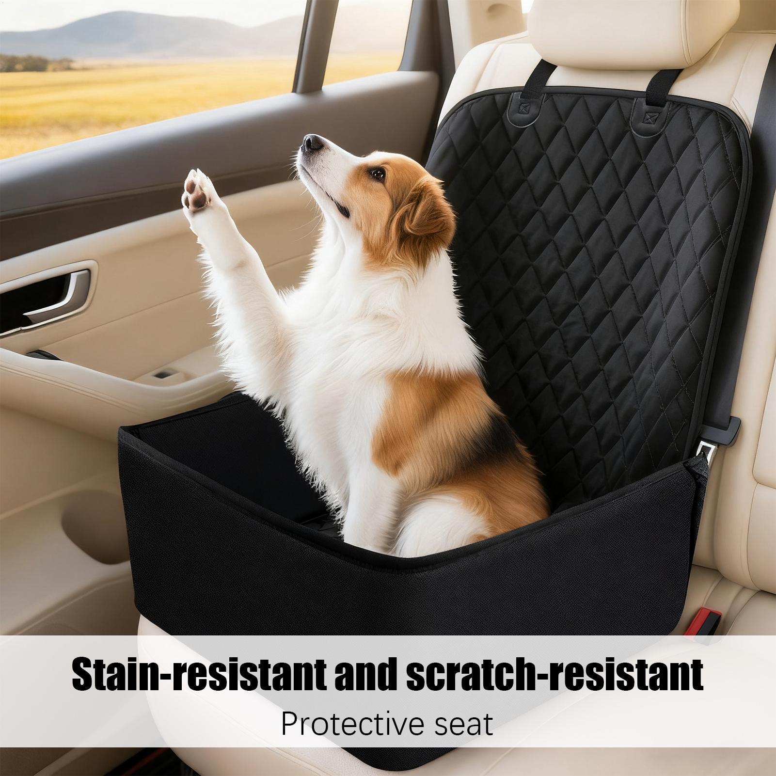 Coprisedile Impermeabile per C - Seat Cleaner Fabric recensione e prezzo